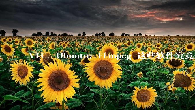 VLC，Ubuntu，FFmpeg 这些软件究竟是什么人开发的？为什么免费？他们不求回报又何以生存？