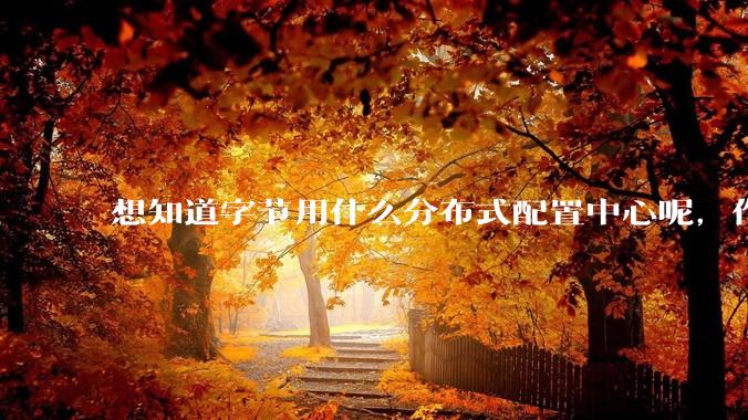 想知道字节用什么分布式配置中心呢，作为golang大厂，应该不是沿用JAVA的配置中心吧?