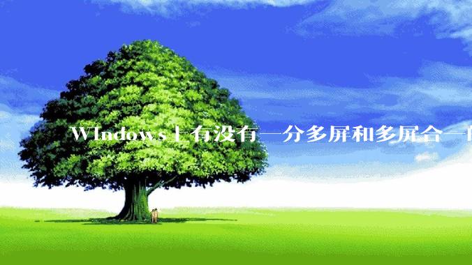 Windows上有没有一分多屏和多屏合一的软件？