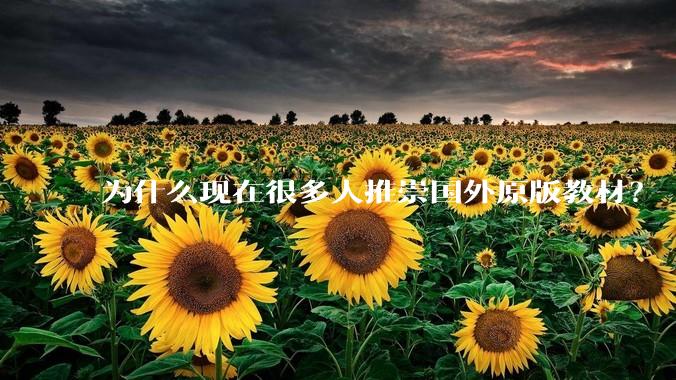 为什么现在很多人推崇国外原版教材？