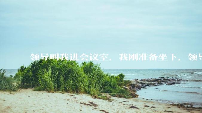 领导叫我进会议室，我刚准备坐下，领导说你站那儿讲就行，我认为这是对我的侮辱，甩门就走了，有错吗?