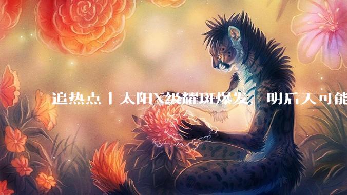 追热点丨太阳X级耀斑爆发，明后天可能出现较强地磁活动！网友：这就是我嗜睡的原因？_磁暴_影响