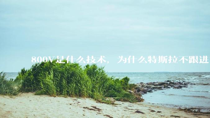 800V是什么技术，为什么特斯拉不跟进？
