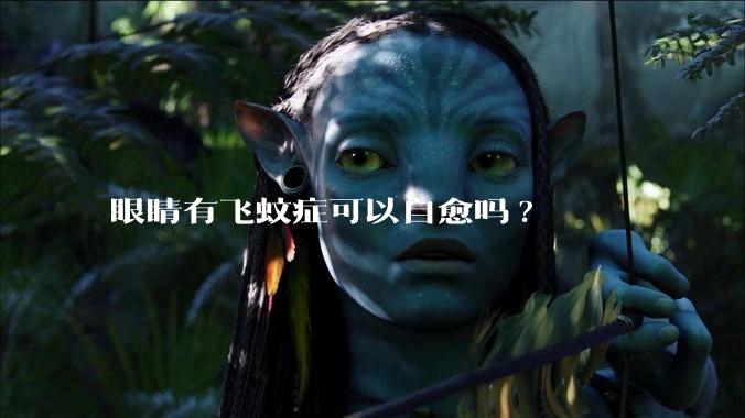 眼睛有飞蚊症可以自愈吗?