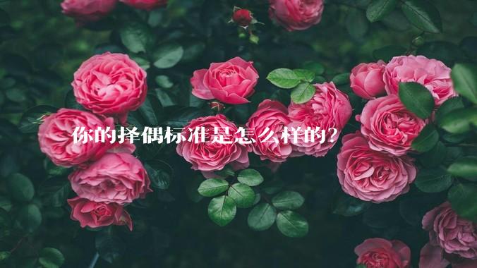 你的择偶标准是怎么样的？