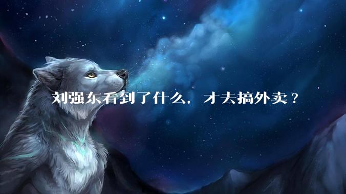 刘强东看到了什么，才去搞外卖?