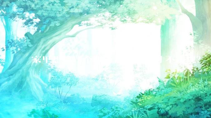 家里想搞一个服务器，怎么才不违规？